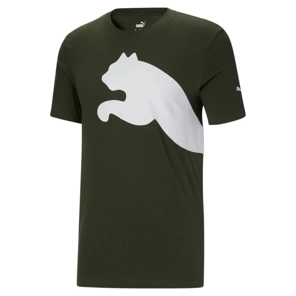 Футболка Чоловіча Puma Oversized Logo Tee 586109-70