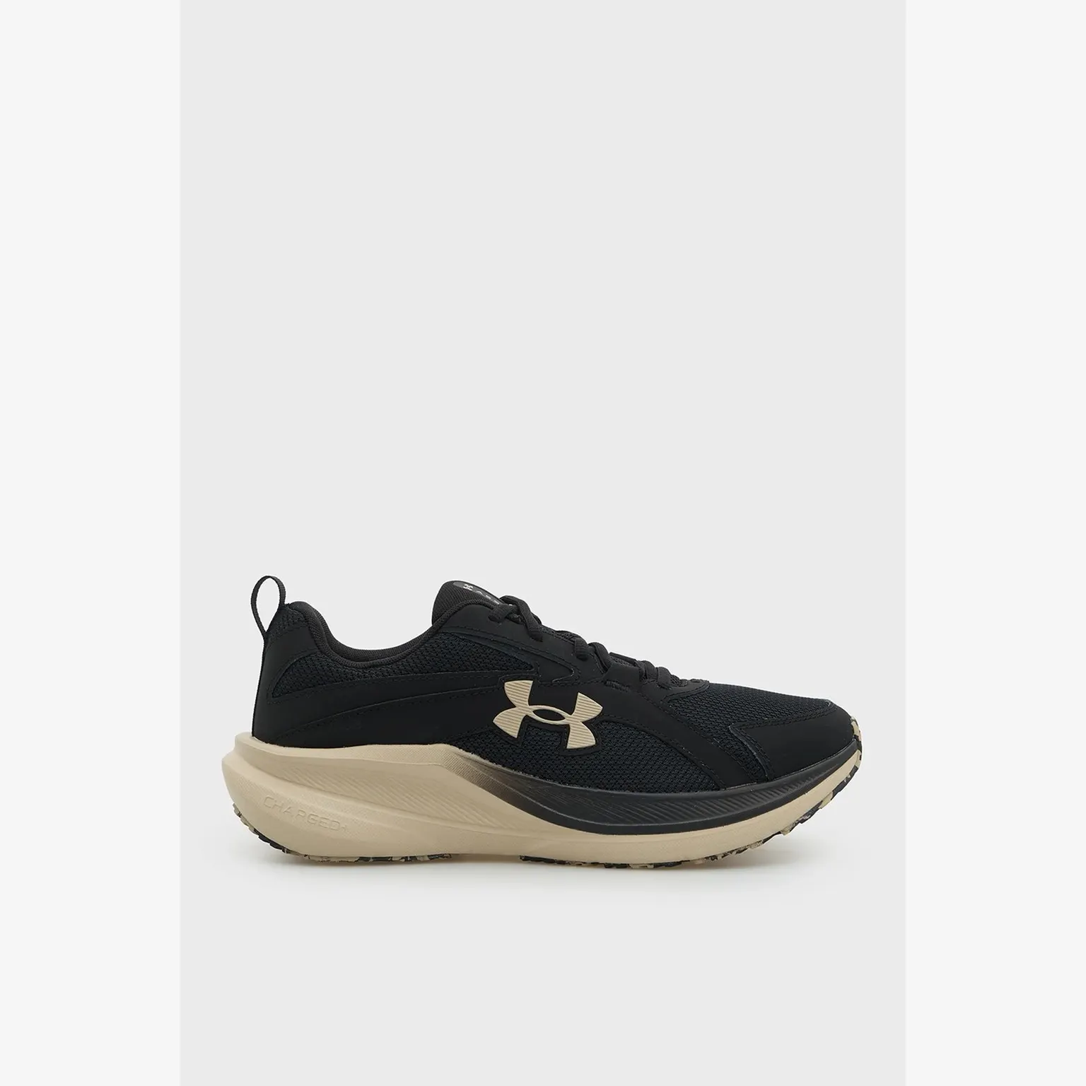 Кросівки Чоловічі Under Armour Charged+ Assert 11 6006723-005