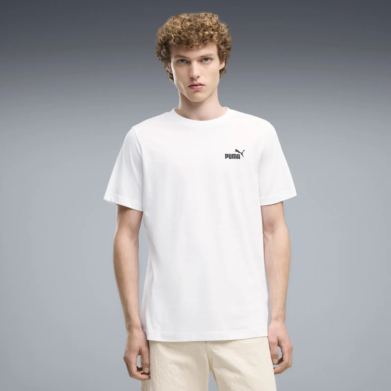 Футболка Чоловіча Puma Essentials Small No.1 Logo Tee White 682534-02
