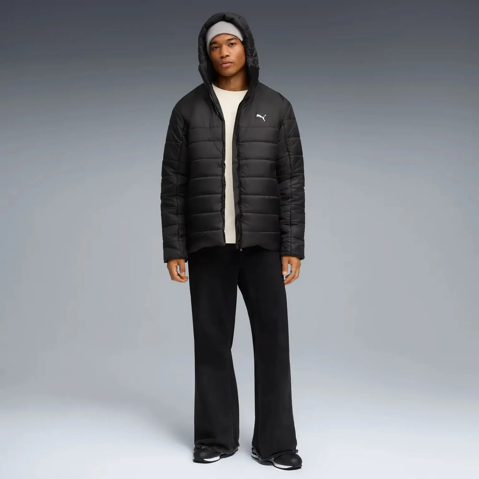 Куртка Чоловіча Puma Essentials Hooded Padded 685211-01