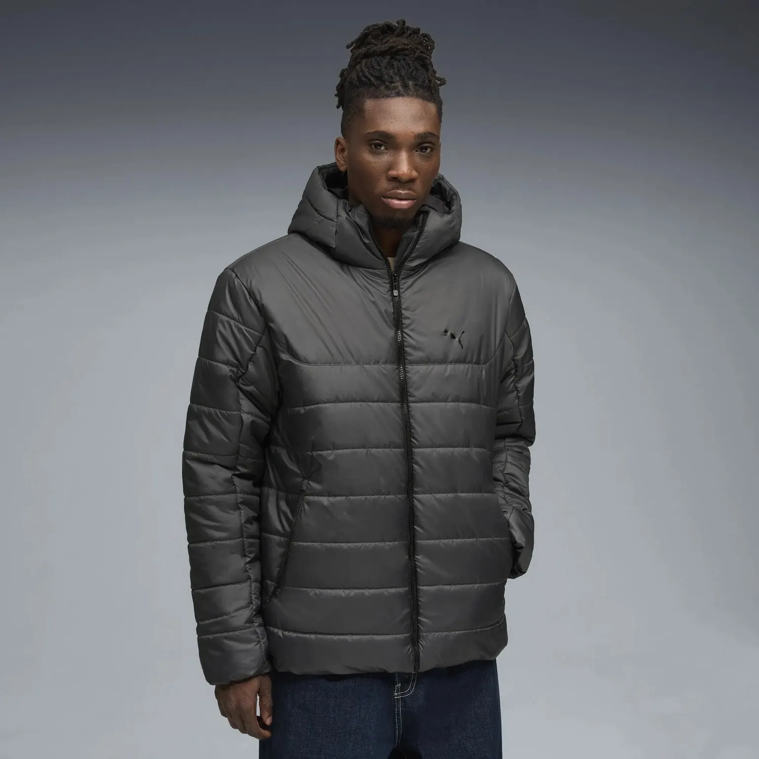Куртка Чоловіча Puma Essentials Hooded Padded 685211-44
