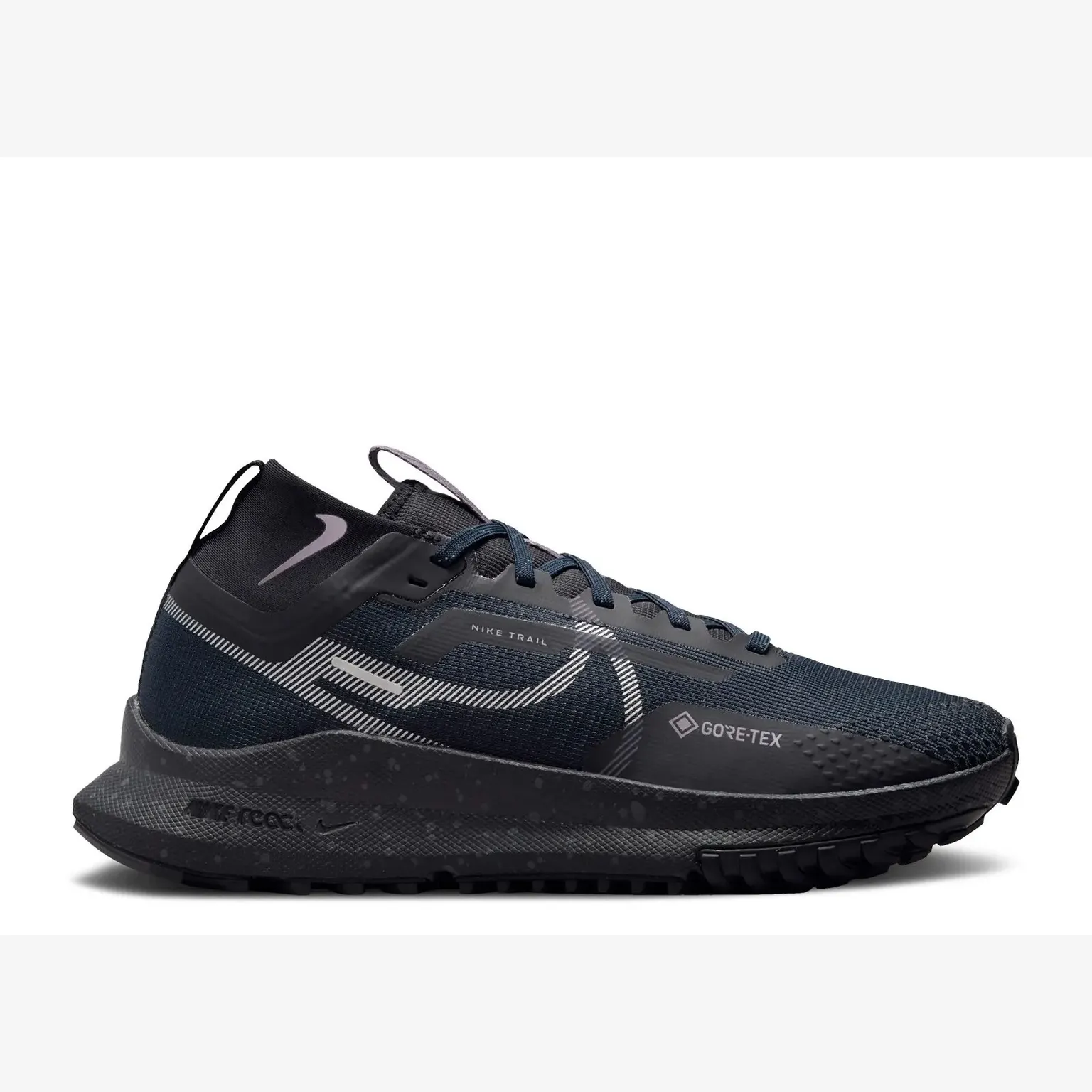 Кросівки Чоловічі Nike Pegasus Trail 4 GORE-TEX Dark Obsidian/Metallic Silver FZ4343-400
