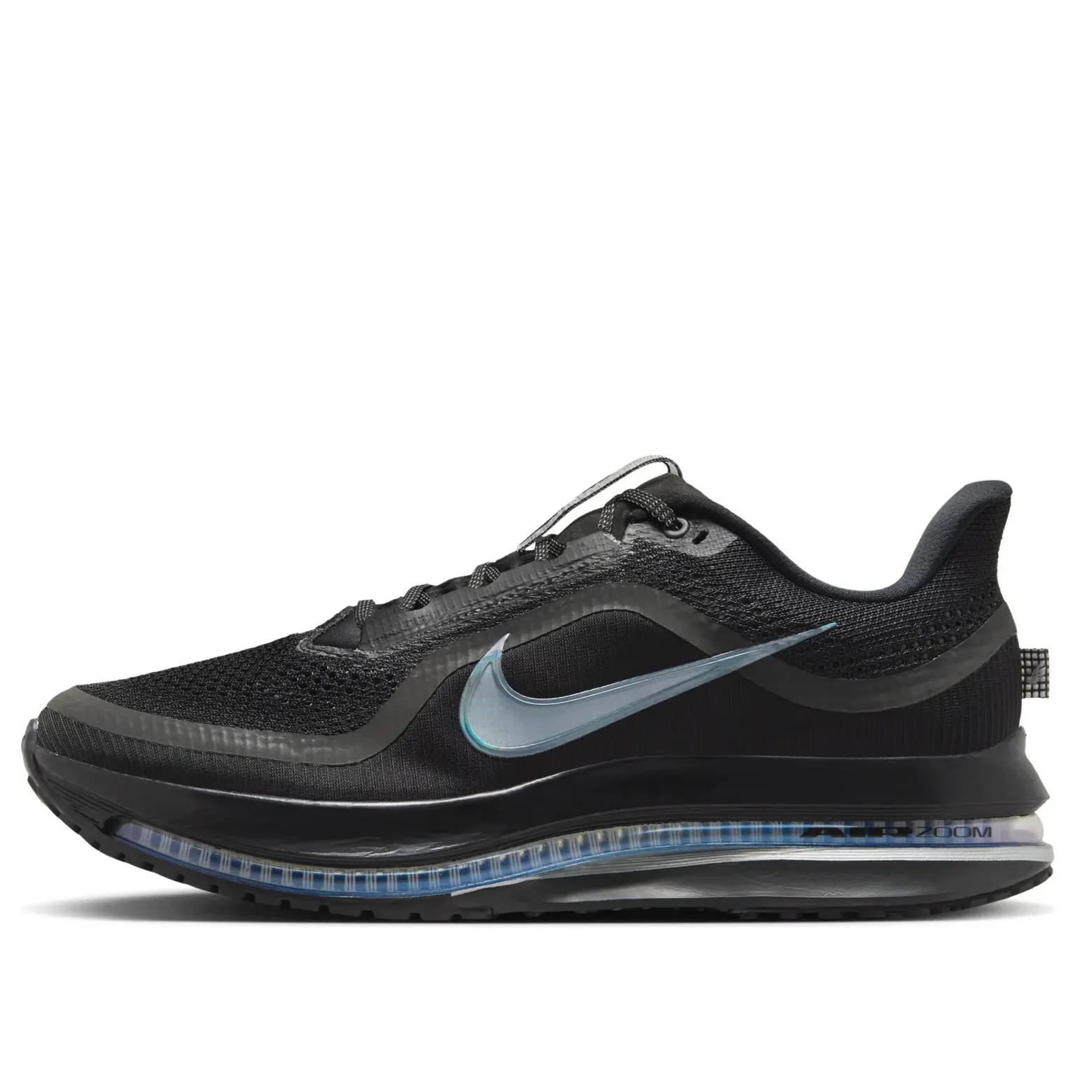 Кросівки Чоловічі Nike Pegasus Premium Black HQ2592-005
