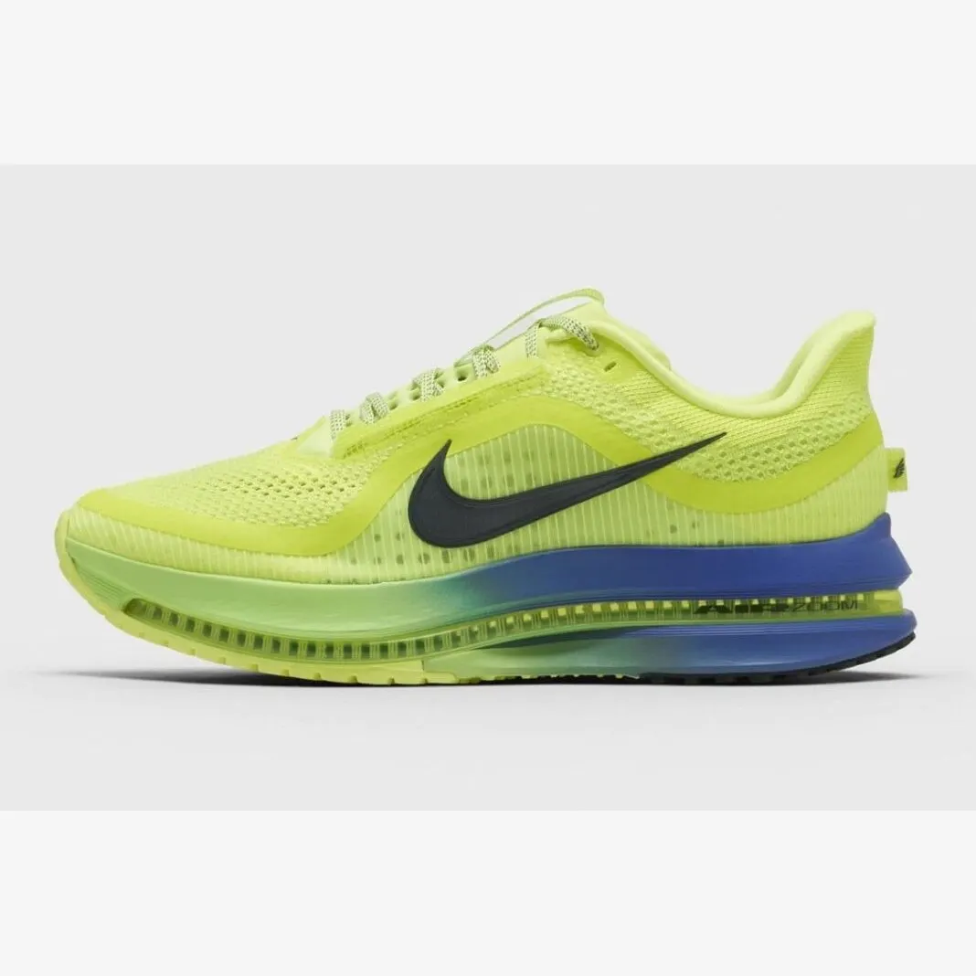 Кросівки Чоловічі Nike Pegasus Premium HQ2592-702