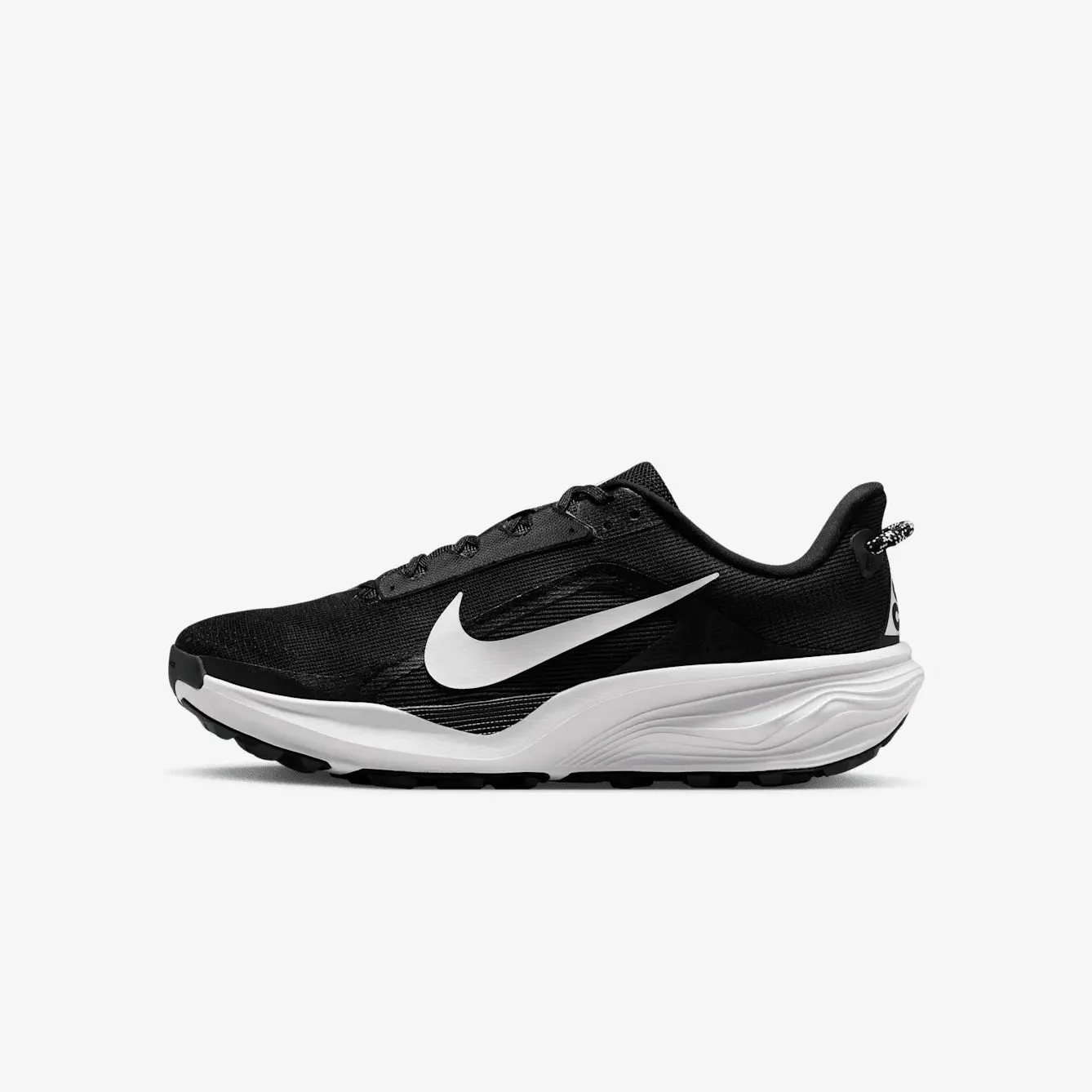 Кросівки Чоловічі Nike Pegasus Trail HV8116-001
