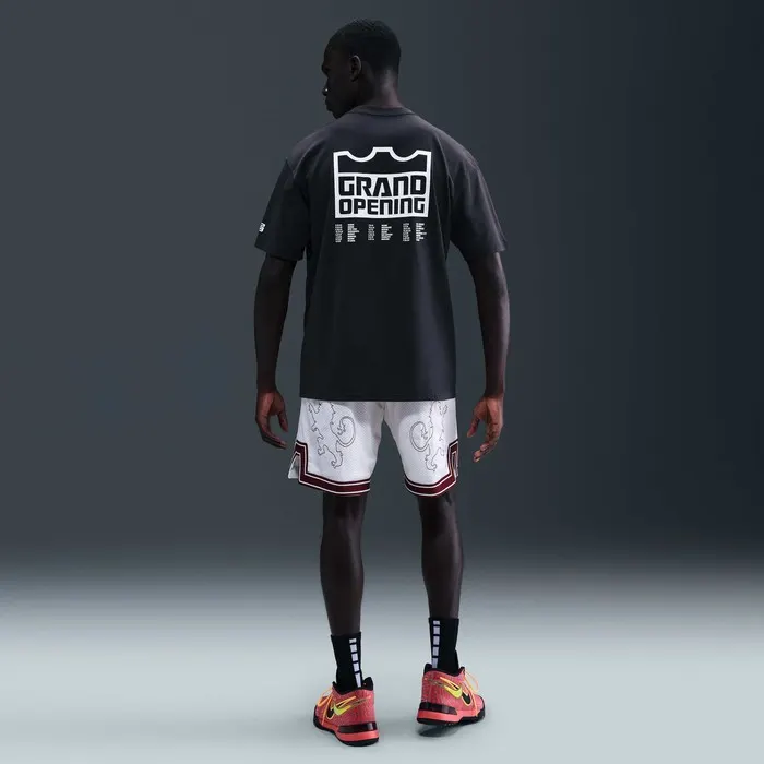 Футболка Чоловіча Nike Lebron IH8544 IH8544-045