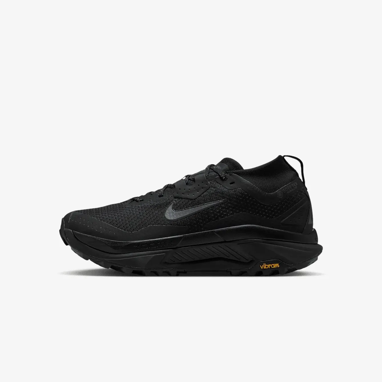 Кросівки Чоловічі Nike Zegama Trail Gore-Tex IO7932-002