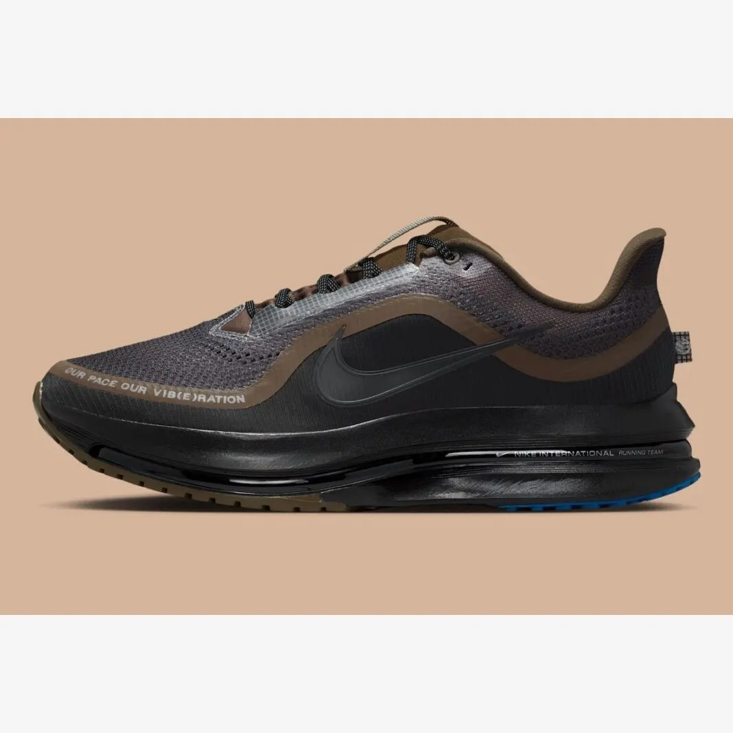 Кросівки Чоловічі Nike Pegasus Premium IQ3435-045