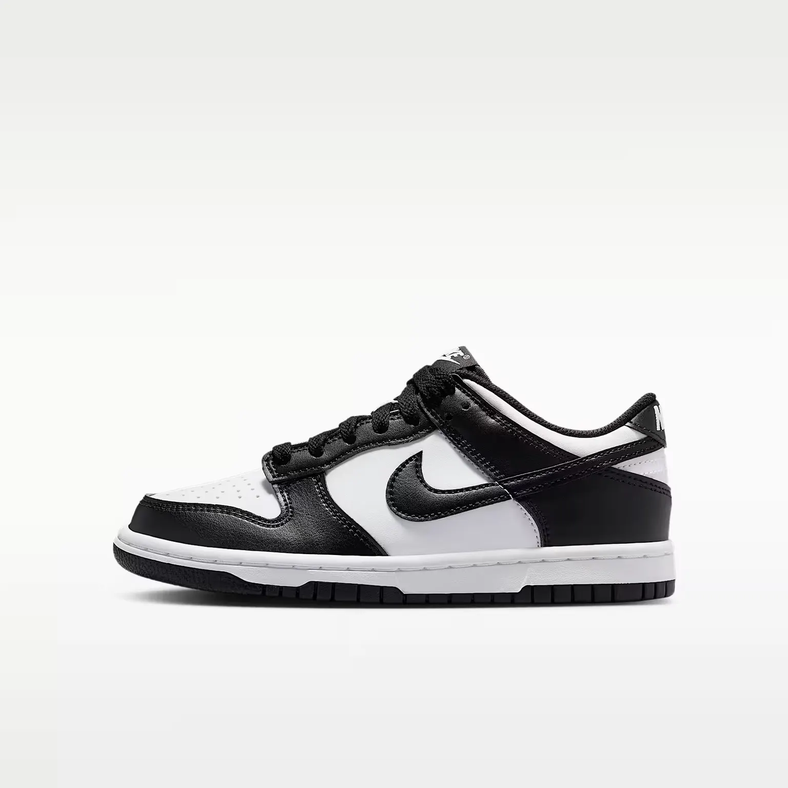 NIKE DUNK LOW IU7766-100
