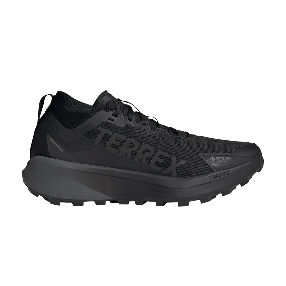 Кросівки Чоловічі Adidas Terrex Agravic GTX Core Black/Grey Six JR5240