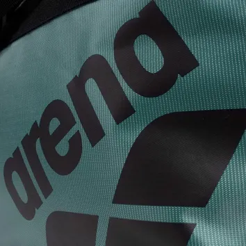 Сумка Чоловіча Arena All Set Duffle 25L 010236-300