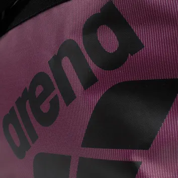 Сумка Чоловіча Arena All Set Duffle 40L 010237-200