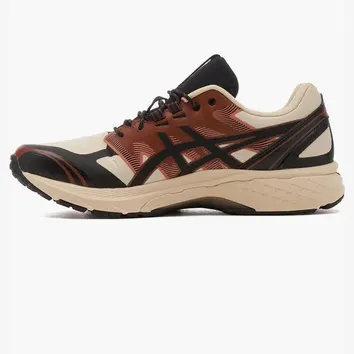 Кросівки ASICS Gel Terrain 1203A342-250