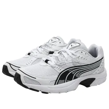 Кроссовки Мужские Puma Axis 368465-02