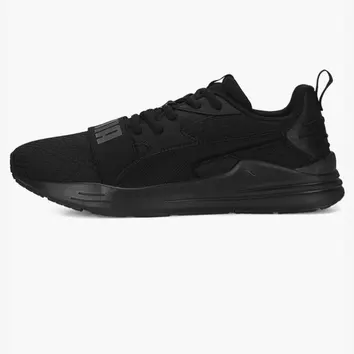 Кросівки Чоловічі Puma Wired Run Pure Black 389275-01