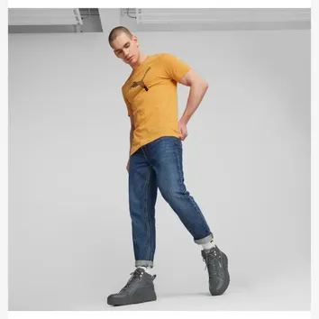 Кросівки Чоловічі Puma Tarrenz SB III Shadow Gray 39262803