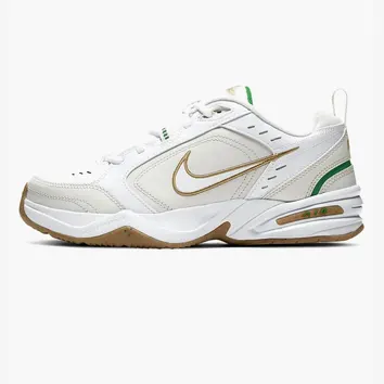 Кросівки Чоловічі Nike Air Monarch IV 415445-103