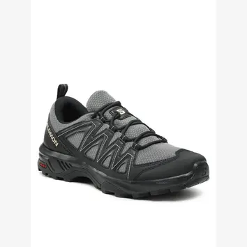 Черевики Чоловічі Salomon X Braze 471800