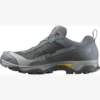 Кроссовки Мужские Salomon X Ultra 5 Gtx 477259