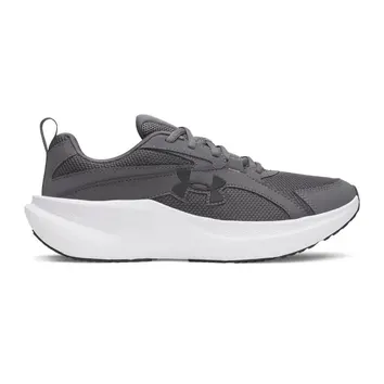 Кроссовки Мужские Under Armour Charged+ Assert 11 6006723-025