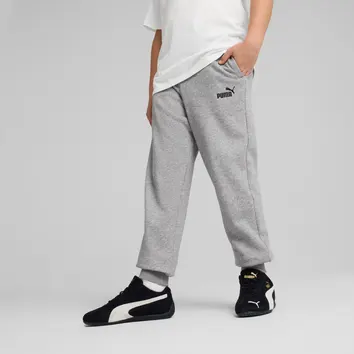 Спортивний костюм Чоловічий Puma Essentials Big Logo Grey 846812-03_846820-03