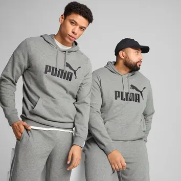 Спортивний костюм Чоловічий Puma Essentials Big Logo Grey 846812-03_846820-03