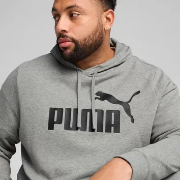 Спортивний костюм Чоловічий Puma Essentials Big Logo Grey 846812-03_846820-03