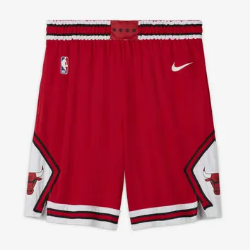 Swingman Chicago Bulls Icon Edition Red