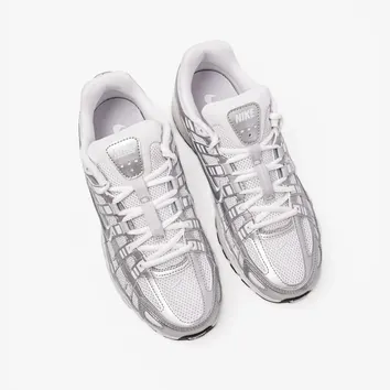 Кросівки Чоловічі Nike P-6000 BV1021-106