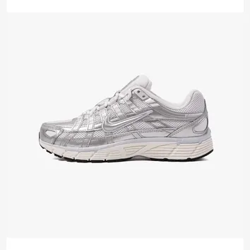 Кросівки Чоловічі Nike P-6000 BV1021-106