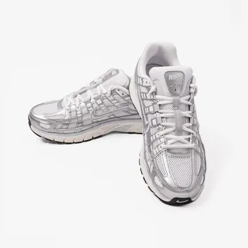 Кросівки Чоловічі Nike P-6000 BV1021-106
