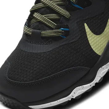 Кросівки Чоловічі Nike Juniper Trail CW3809-004
