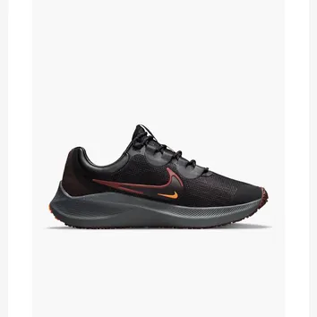 Кросівки Чоловічі Nike Winflo 8 Shield Bronze Eclipse/Black DC3727-200