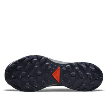 Кросівки Чоловічі Nike Pegasus Trail 3 GTX Rattan Campfire Orange DC8793-200