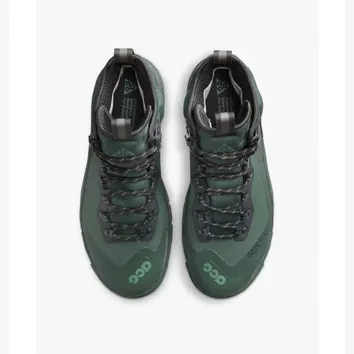 Черевики Чоловічі Nike ACG Air Zoom Gaiadome GORE-TEX Vintage Green DD2858-300