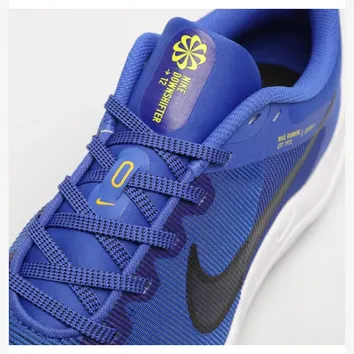 Кросівки Чоловічі Nike Downshifter 12 Blue/White DD9293-402