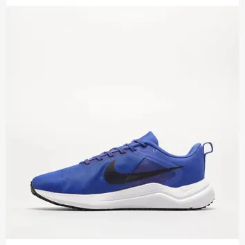 Кросівки Чоловічі Nike Downshifter 12 Blue/White DD9293-402