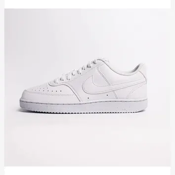 Кросівки Чоловічі Nike Court LO NN DH2987-100