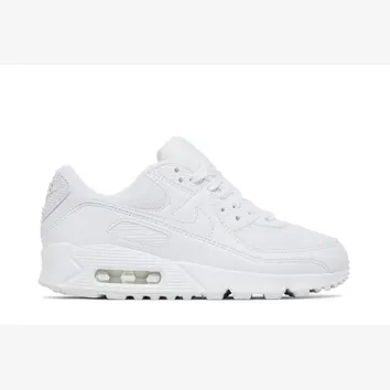 Кросівки Жіночі Nike Air Max 90 DH8010-100