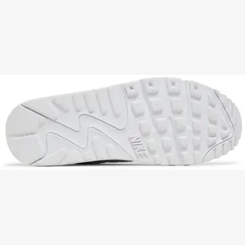 Кросівки Жіночі Nike Air Max 90 DH8010-100