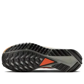 Кросівки Чоловічі Nike React Pegasus Trail 4 GTX Light Carbon Dark Cosmic Clay DJ7926-006