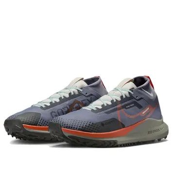 Кросівки Чоловічі Nike React Pegasus Trail 4 GTX Light Carbon Dark Cosmic Clay DJ7926-006