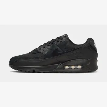 Кросівки Чоловічі Nike Air Max 90 Black Light Smoke Grey DM0029-024