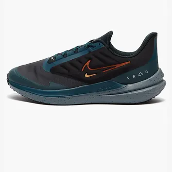 Кросівки Чоловічі Nike Air Zoom Winflo 9 Shield Black/Deep Jungle DM1106-002