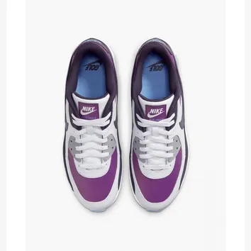 Кросівки Чоловічі Nike Air Max 90 Golf Purple Smoke DQ4128-155