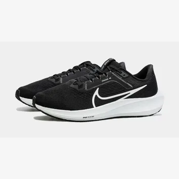 Кросівки Чоловічі Nike Pegasus 40 DV3853-001