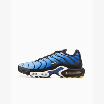 Кросівки Чоловічі Nike Air Max Plus OG Hyper Blue DX0755-001