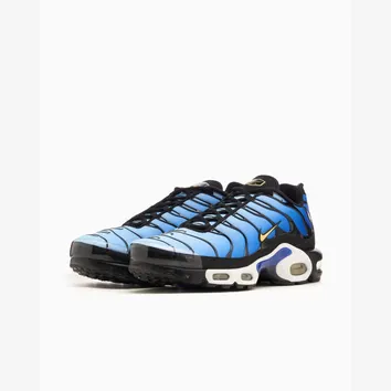 Кросівки Чоловічі Nike Air Max Plus OG Hyper Blue DX0755-001