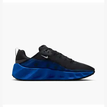 Кросівки Nike Ava Rover Black/Royal Blue DX4215-008