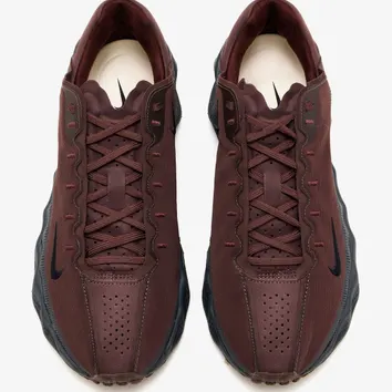 Кросівки Чоловічі Nike Ava Rover Earth/Black/Dark Smoke Grey/Black DX4215-206